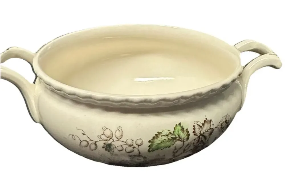 Vintage Johnson Brothers Bird of Paradise Sugar Bowl Two Handle England 5.5in